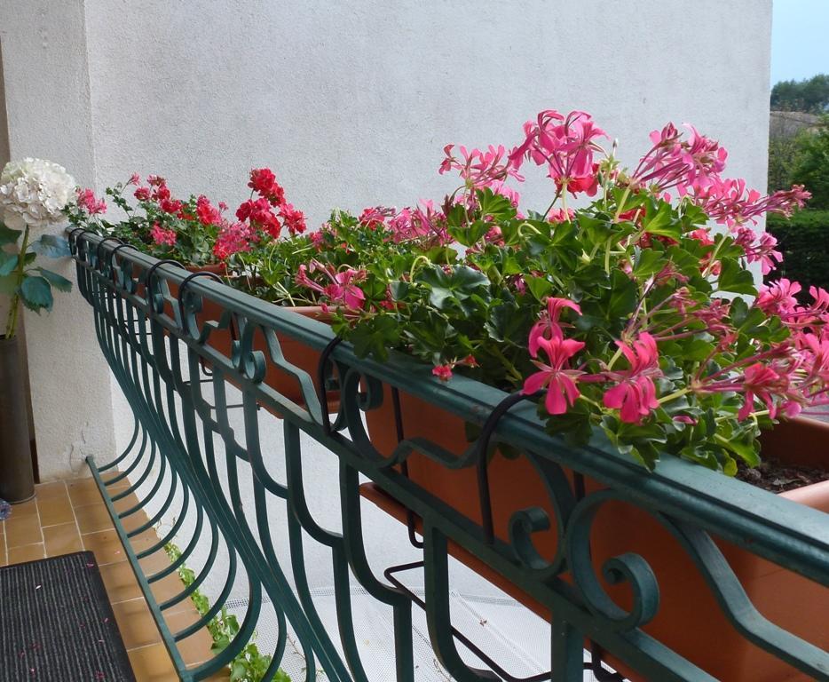 موانس سارتوكس Villa Manon المظهر الخارجي الصورة